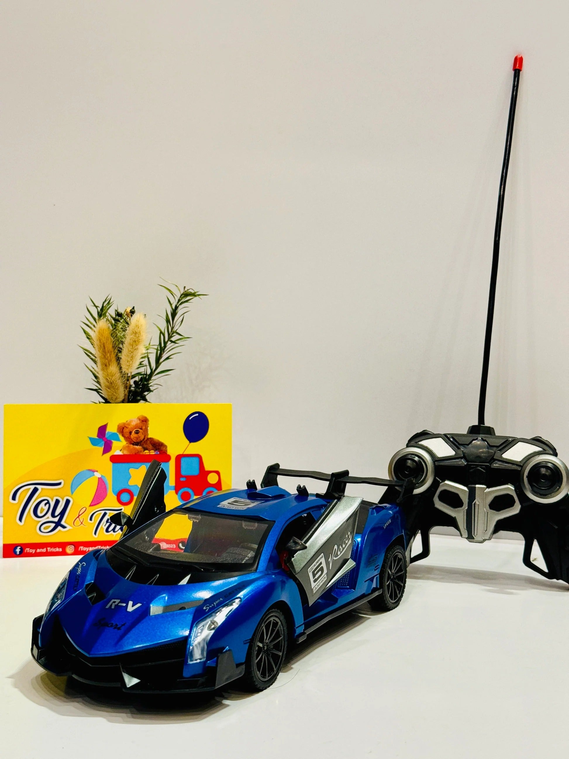 Scale RC Racing Sports Mood Car