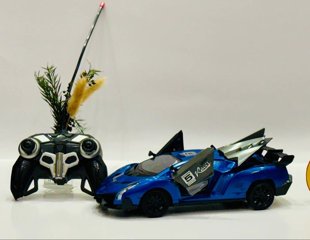 Scale RC Racing Sports Mood Car