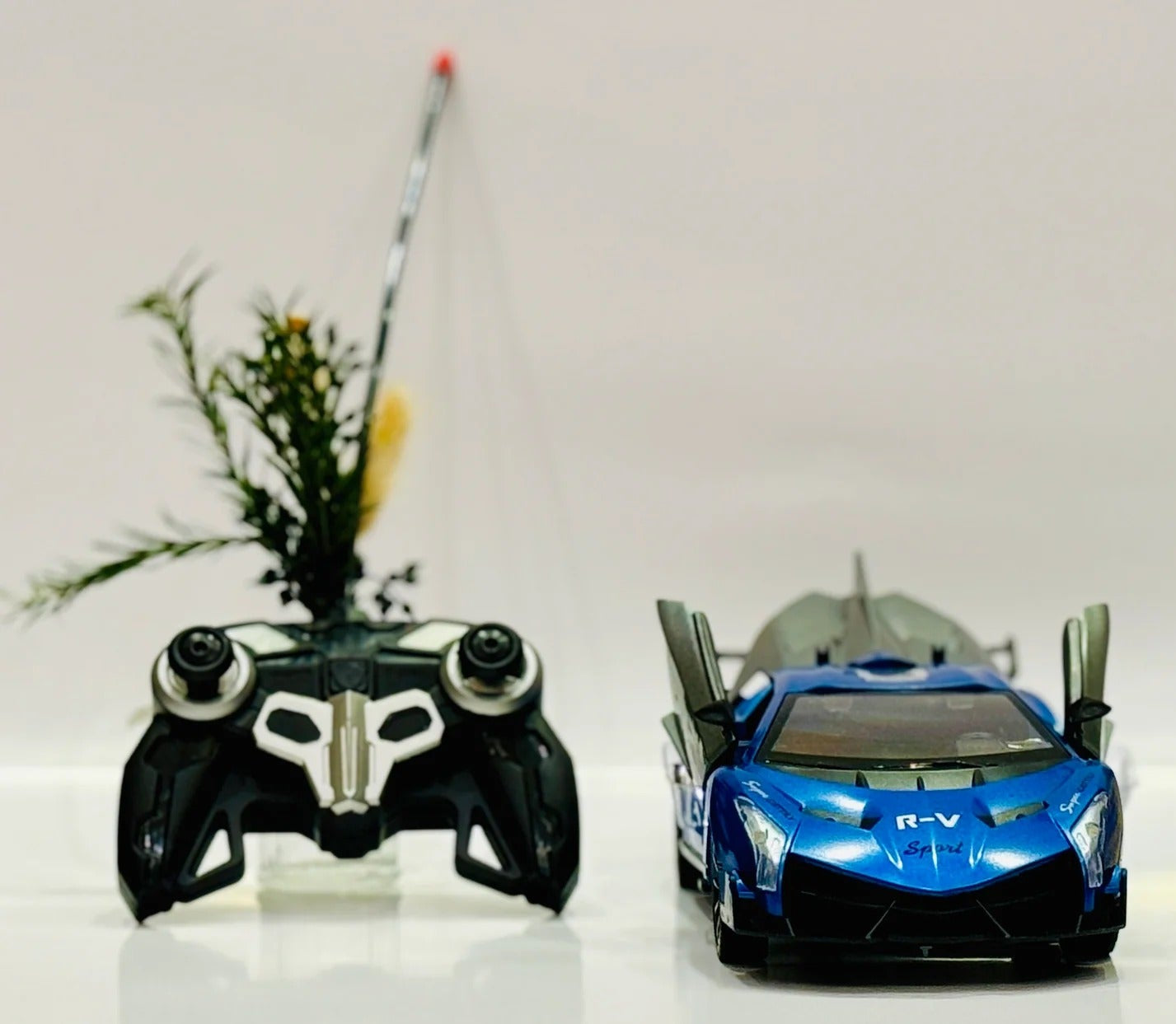 Scale RC Racing Sports Mood Car