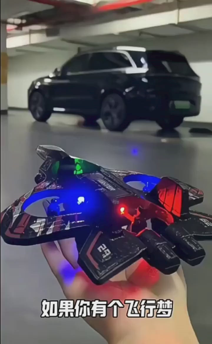 2.4GHz RC Thunder Fighter Jet Model